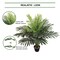 Elegant 36-Inch Fan Palm - Lush Indoor Greenery with 18 Wide Leaves for Stylish Home Decor, Floral Home by Artificial Flowers